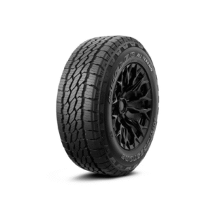 BRIDGESTONE A/T 002